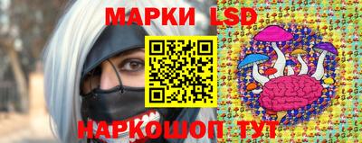 стаф Можга