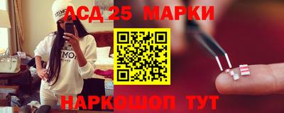 стаф Можга