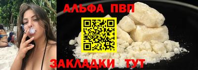 стаф Можга