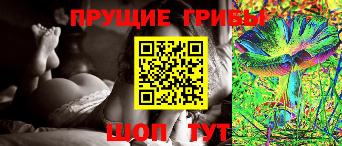 Галлюциногенные грибы Psilocybe Учалы