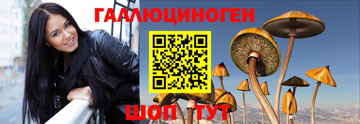 Учалы  Галлюциногенные грибы Psilocybe  Галлюциногенные грибы ЛСД  наркошоп  Вход с VPN 