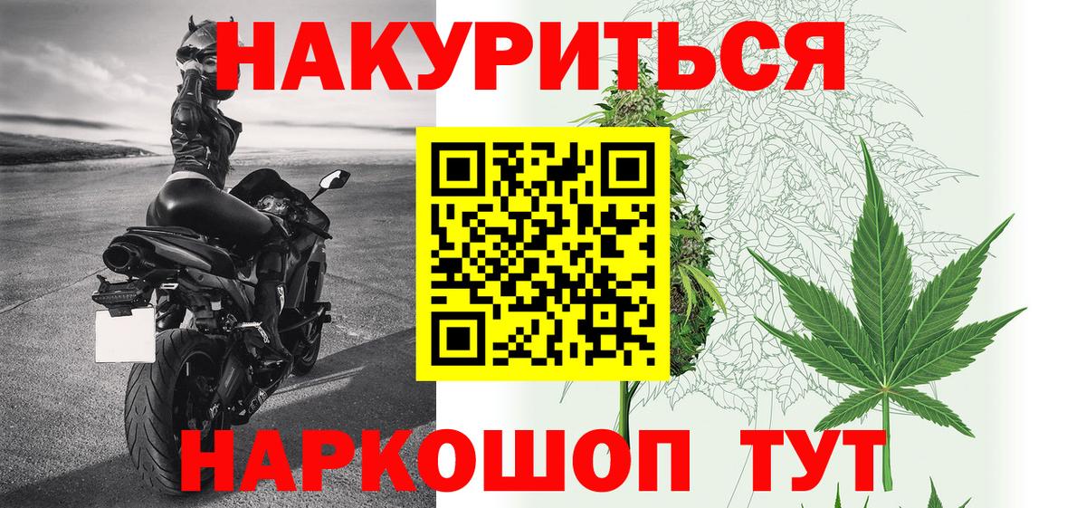 Конопля гибрид Учалы